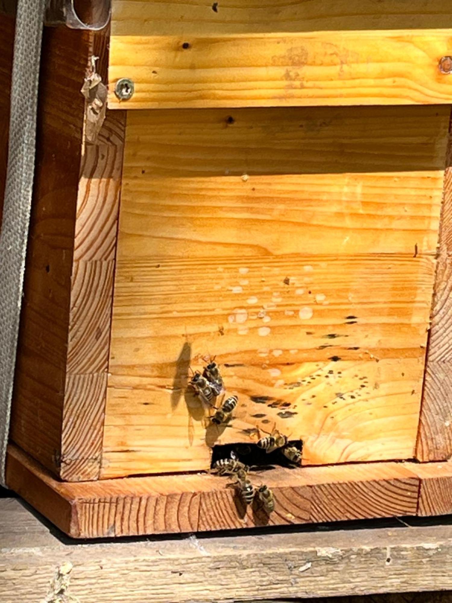Wald Ist Zukunft Ξενοδοχείο Bernbeuren Εξωτερικό φωτογραφία