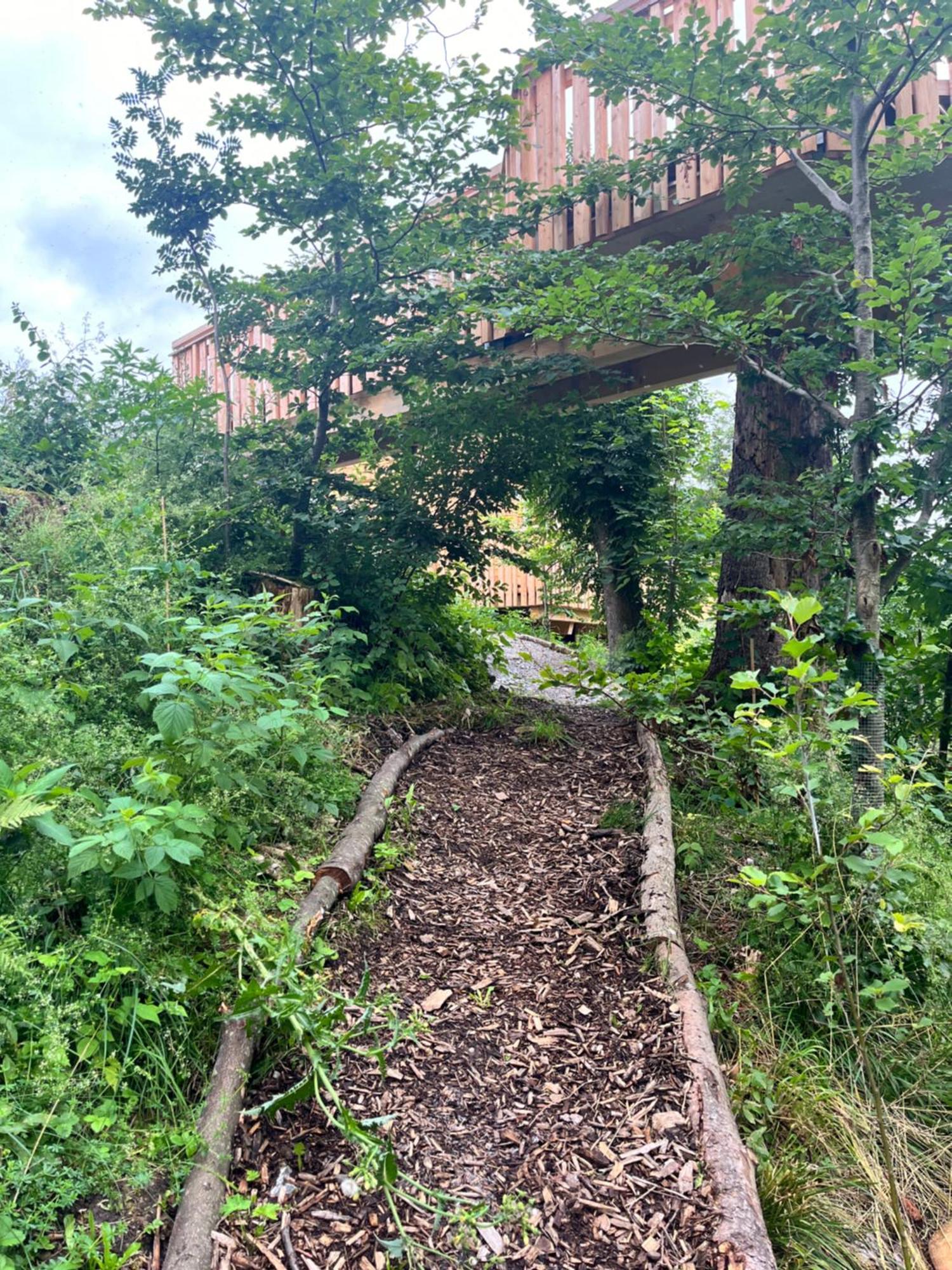 Wald Ist Zukunft Ξενοδοχείο Bernbeuren Εξωτερικό φωτογραφία