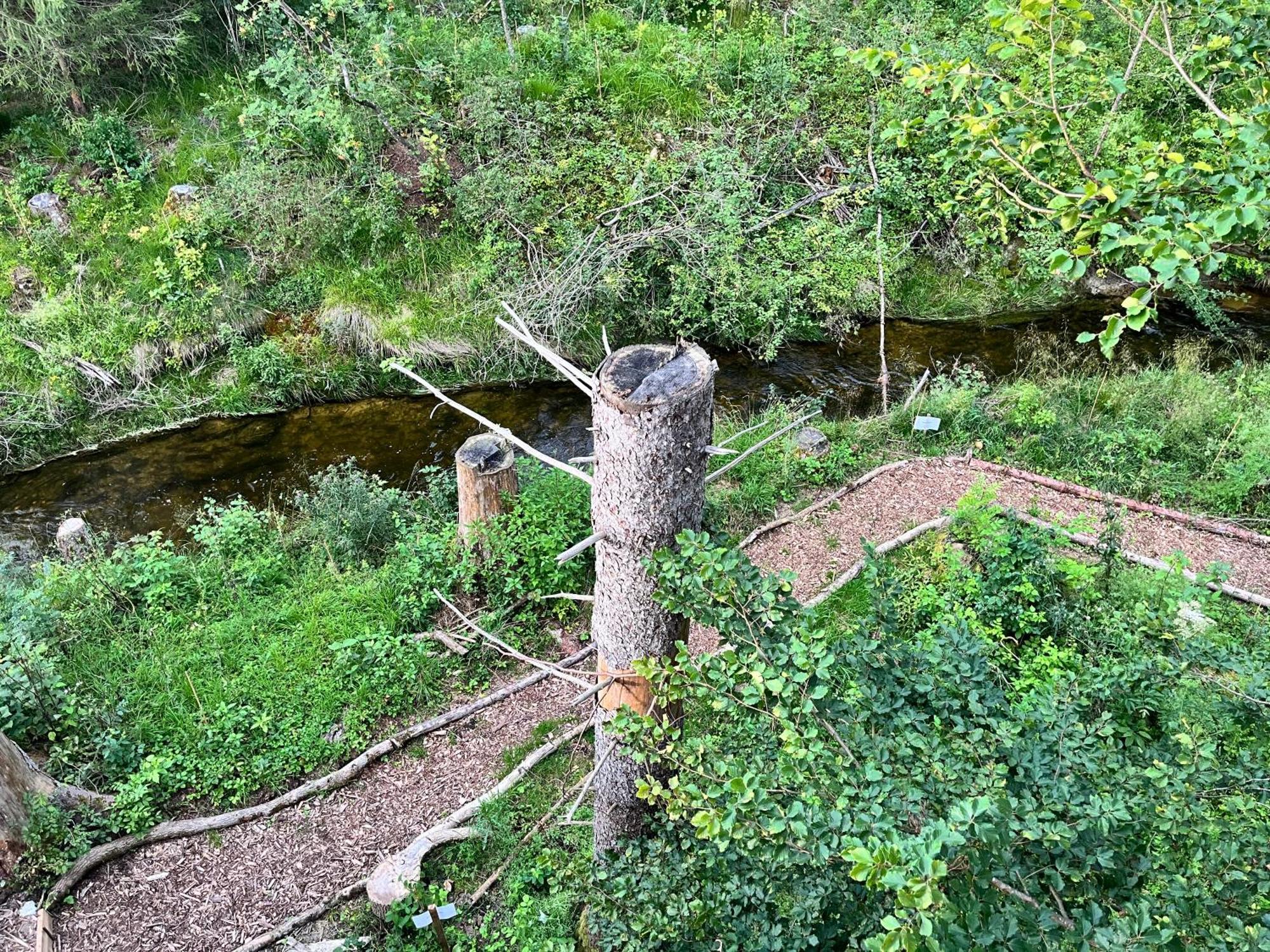 Wald Ist Zukunft Ξενοδοχείο Bernbeuren Εξωτερικό φωτογραφία