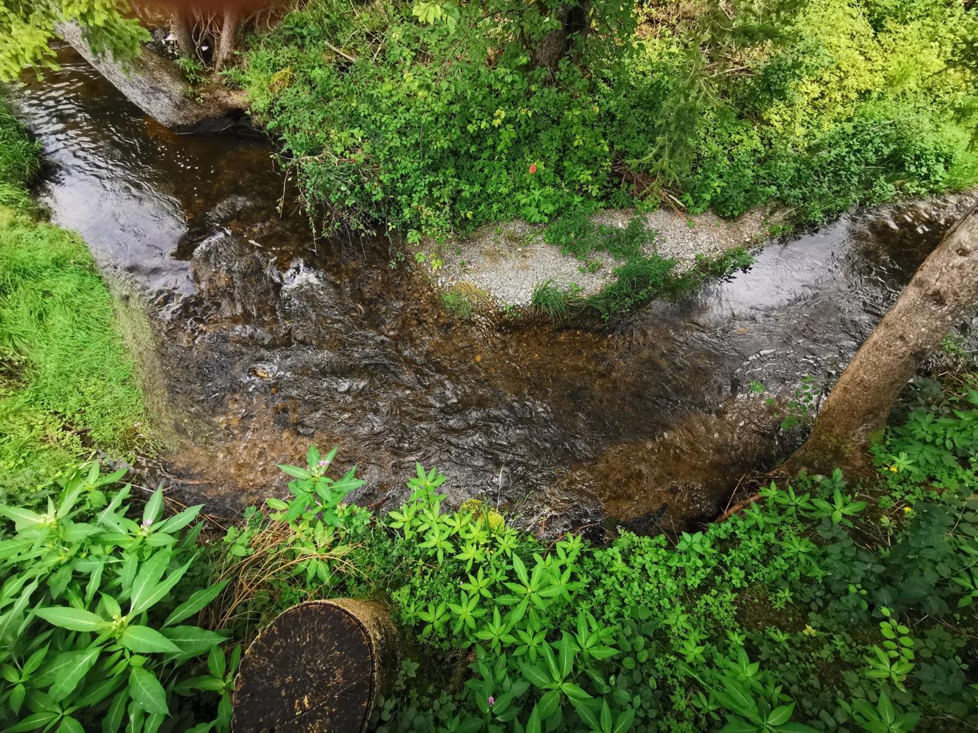 Wald Ist Zukunft Ξενοδοχείο Bernbeuren Εξωτερικό φωτογραφία
