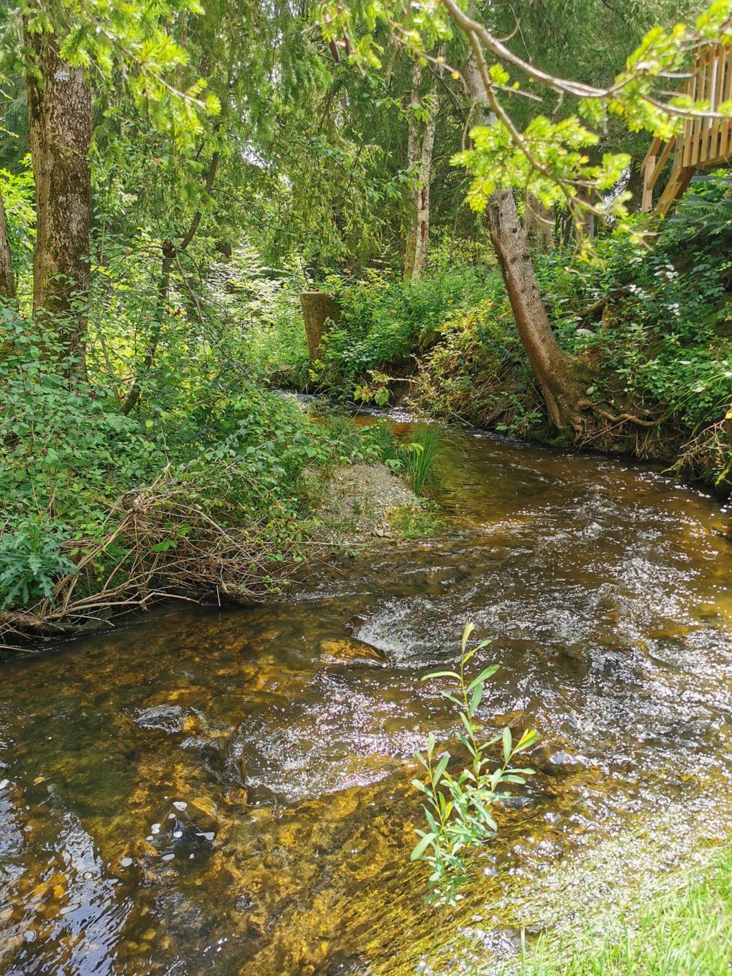 Wald Ist Zukunft Ξενοδοχείο Bernbeuren Εξωτερικό φωτογραφία