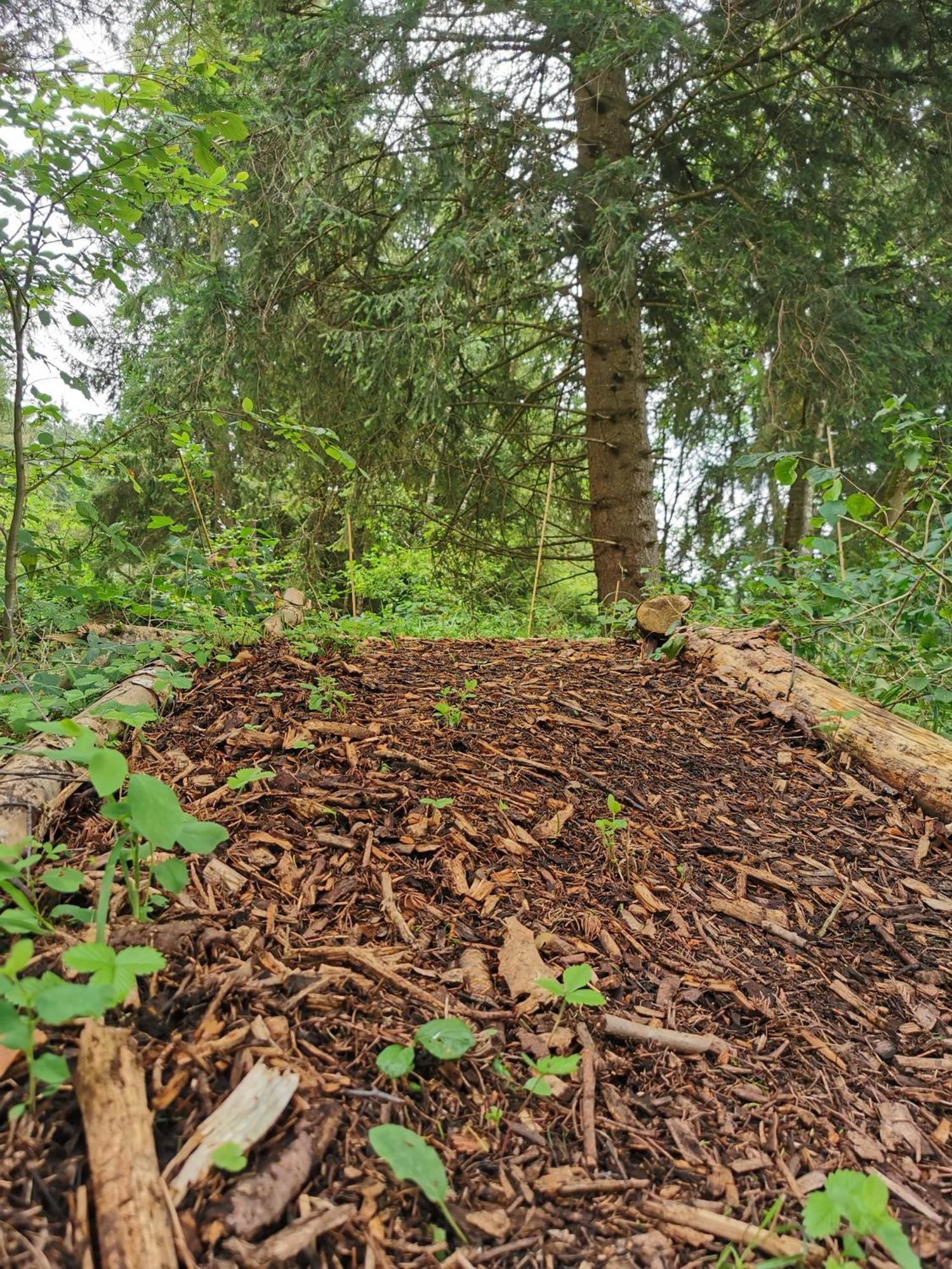 Wald Ist Zukunft Ξενοδοχείο Bernbeuren Εξωτερικό φωτογραφία