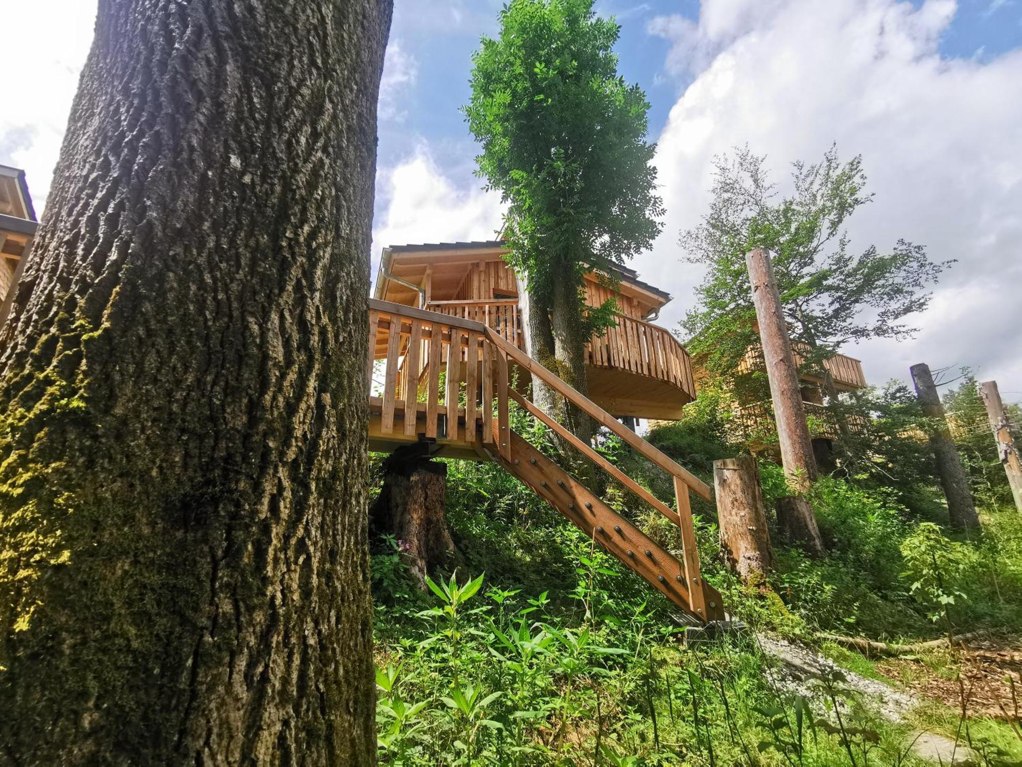 Wald Ist Zukunft Ξενοδοχείο Bernbeuren Εξωτερικό φωτογραφία