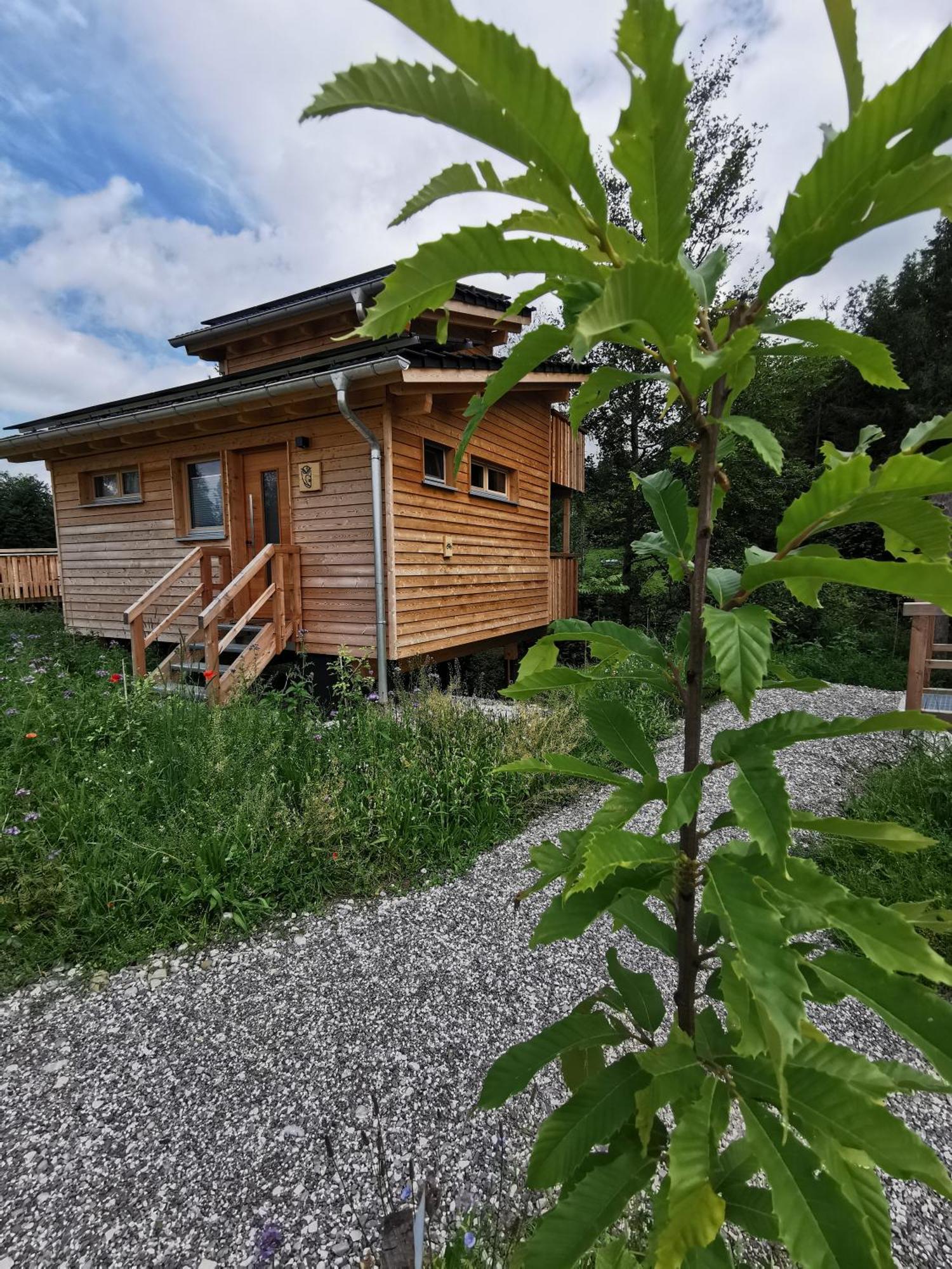Wald Ist Zukunft Ξενοδοχείο Bernbeuren Εξωτερικό φωτογραφία
