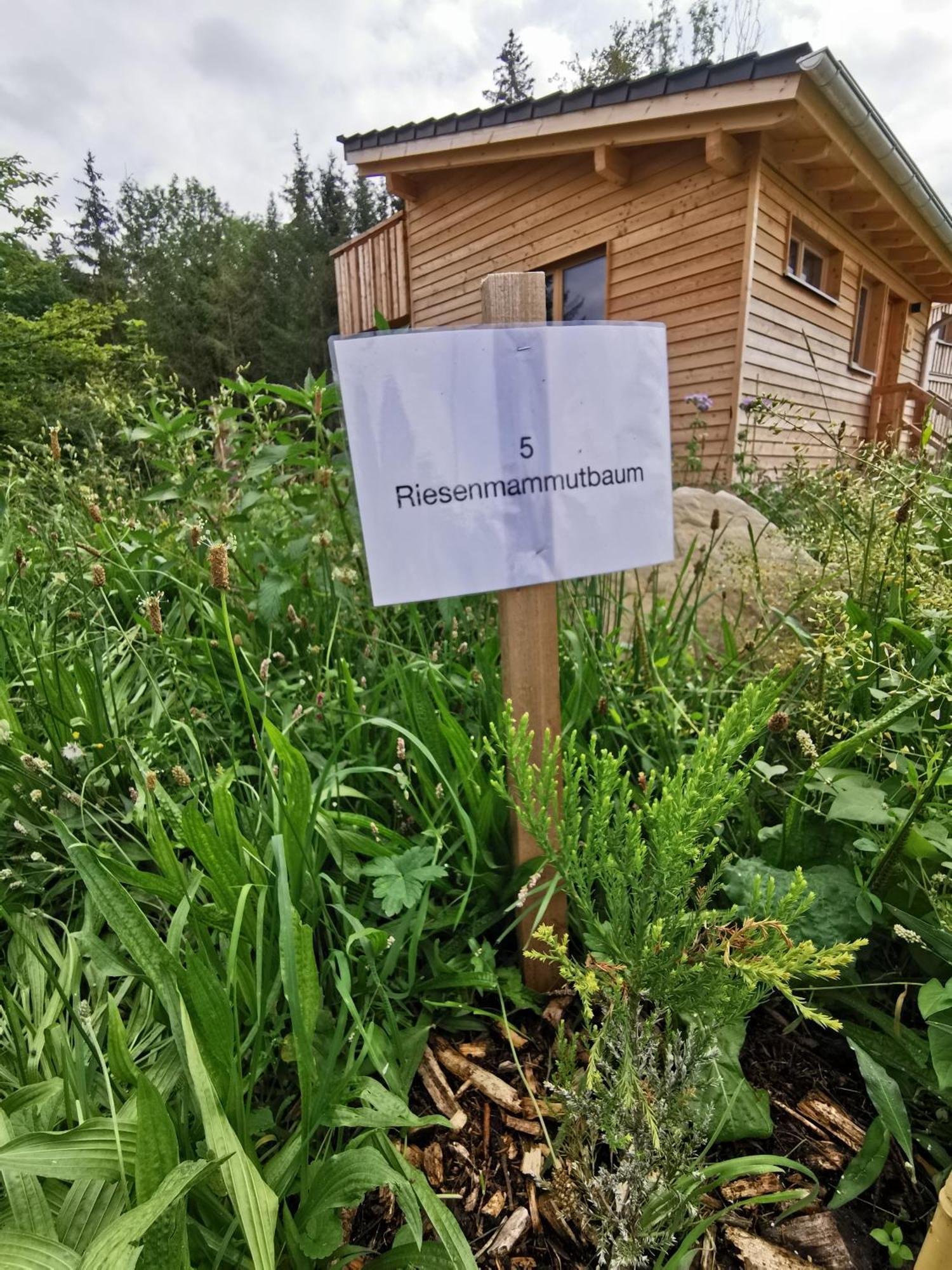 Wald Ist Zukunft Ξενοδοχείο Bernbeuren Εξωτερικό φωτογραφία