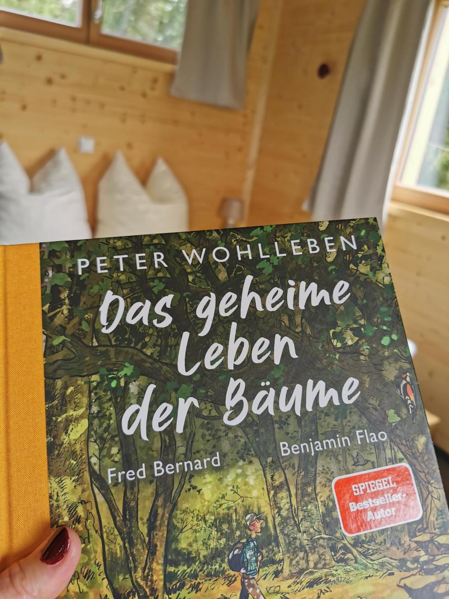 Wald Ist Zukunft Ξενοδοχείο Bernbeuren Εξωτερικό φωτογραφία
