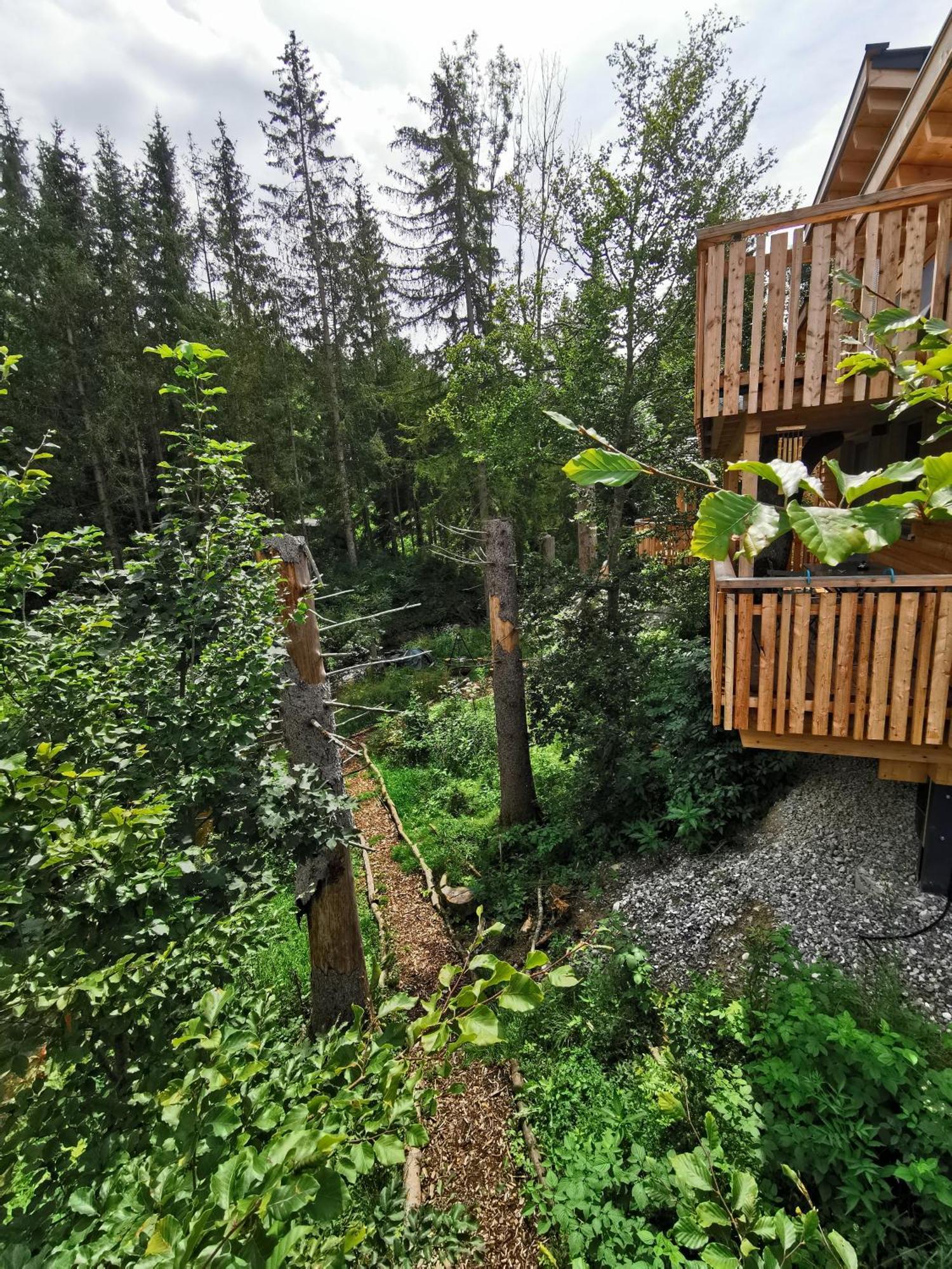 Wald Ist Zukunft Ξενοδοχείο Bernbeuren Εξωτερικό φωτογραφία