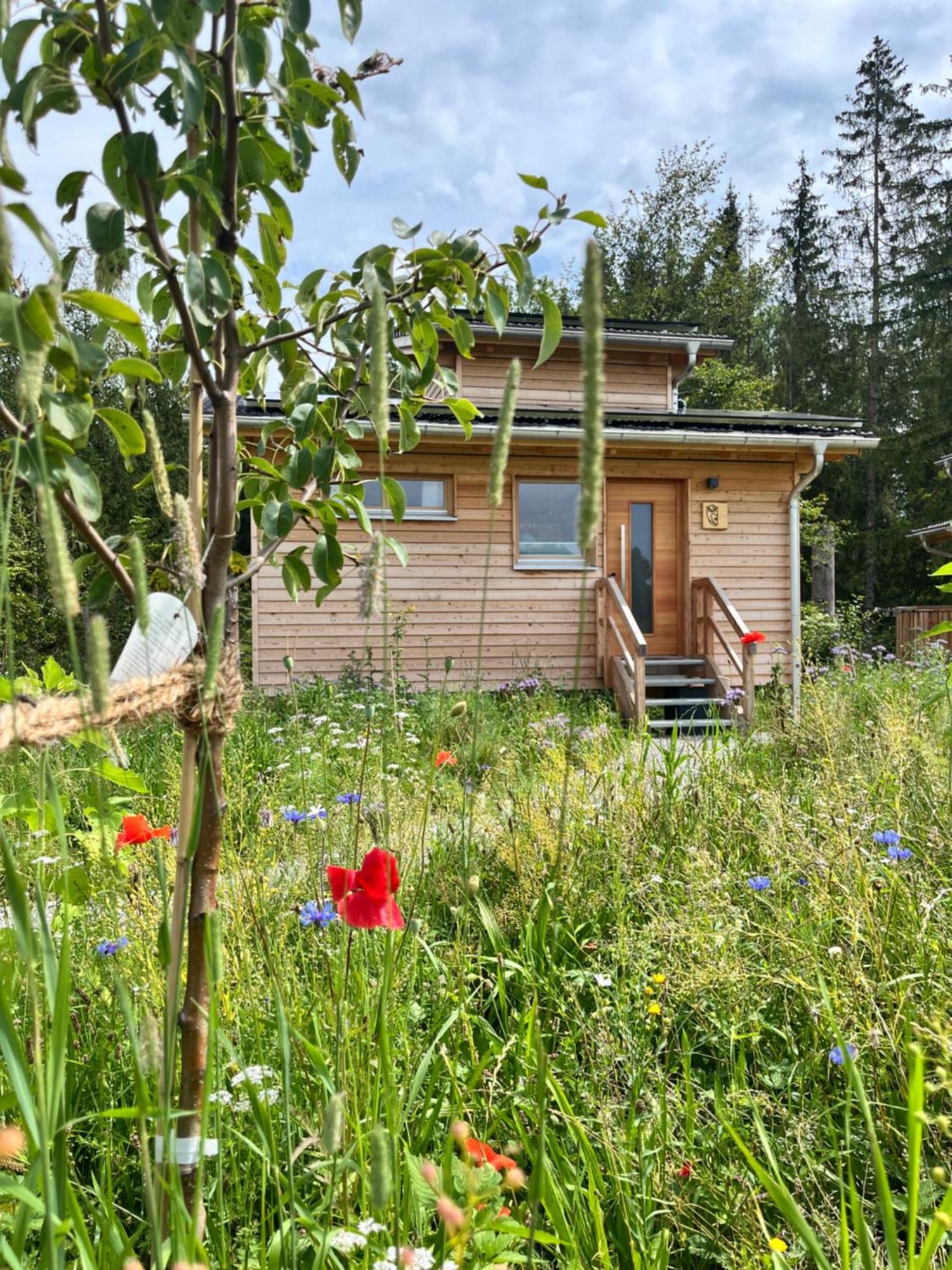 Wald Ist Zukunft Ξενοδοχείο Bernbeuren Εξωτερικό φωτογραφία