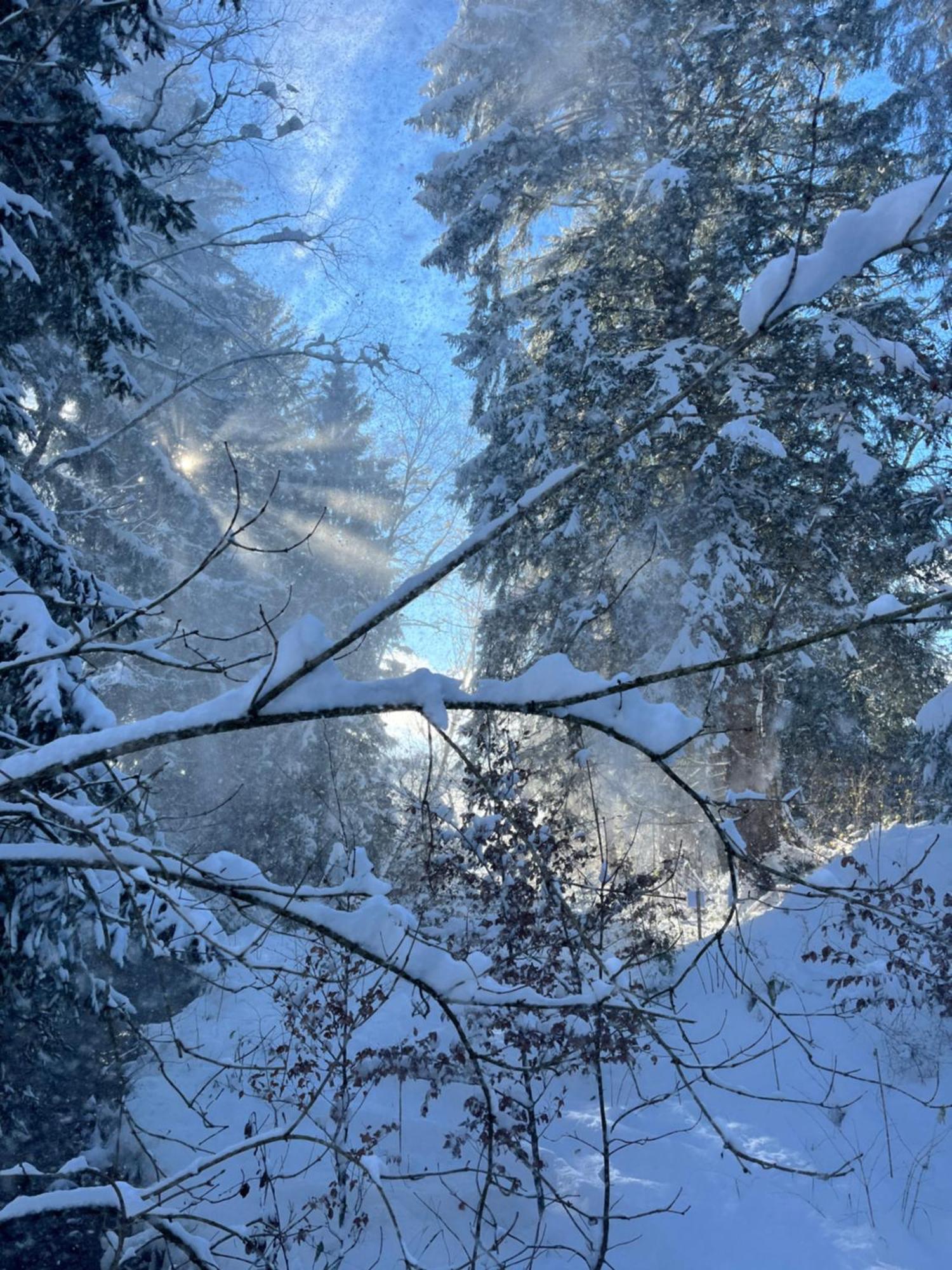 Wald Ist Zukunft Ξενοδοχείο Bernbeuren Εξωτερικό φωτογραφία