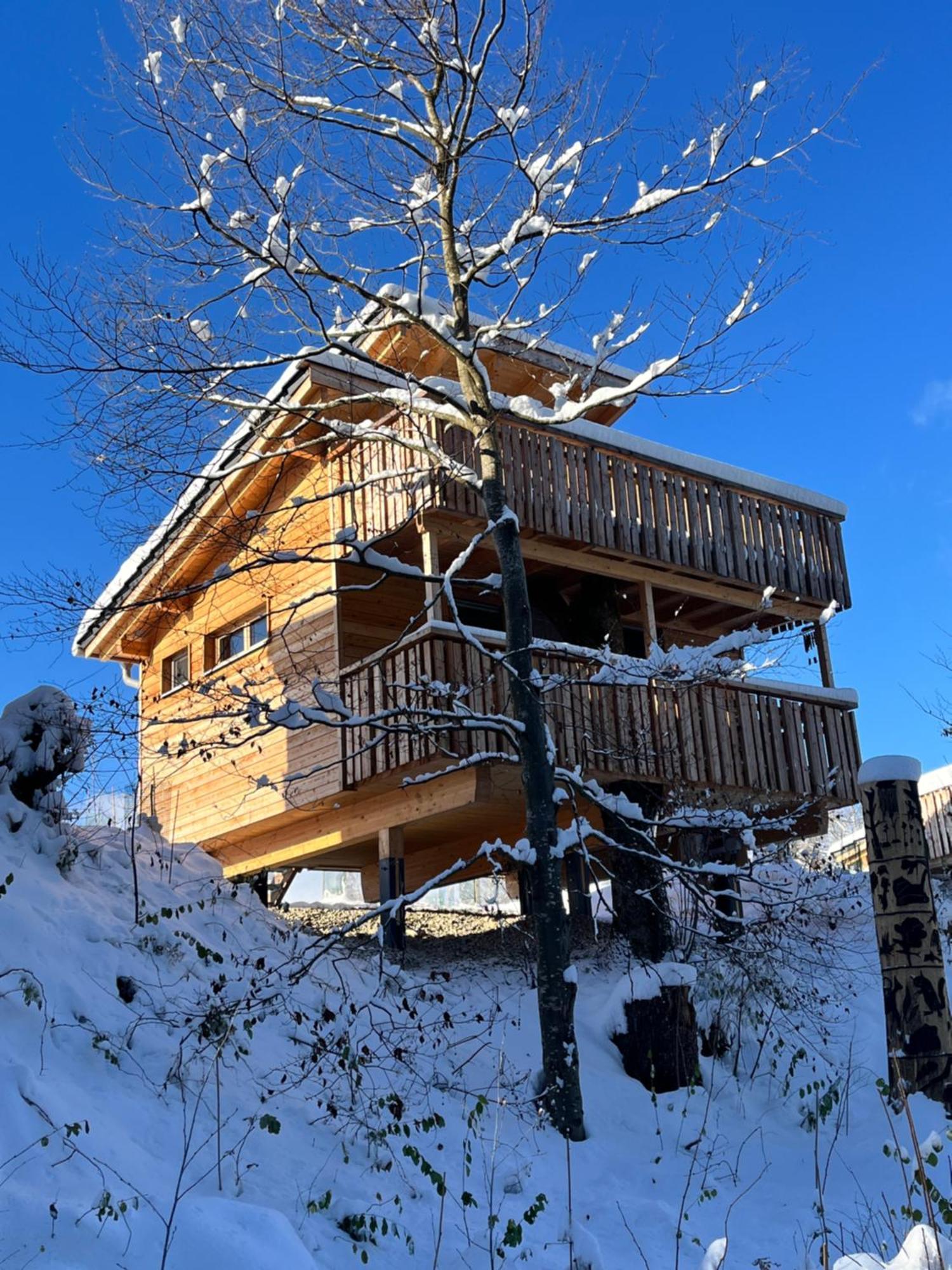 Wald Ist Zukunft Ξενοδοχείο Bernbeuren Εξωτερικό φωτογραφία